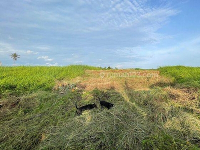 TANAH VIEW LAUT GUNUNG SAWAH SUPER KEREN PERERENAN