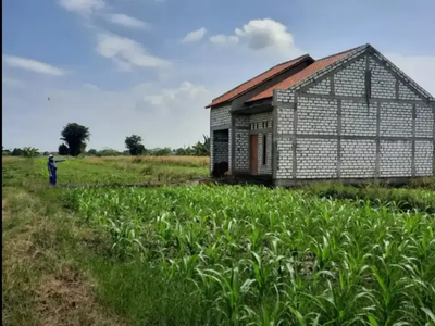 Dijual Tanah di Cerme Gresik