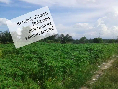 Dijual Tanah Strategis di Pekanbaru KM.16 seluas 7 hektar