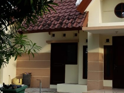 Disewa Disewakan Rumah di Sutera Delima - Alam Sutera - Tangerang