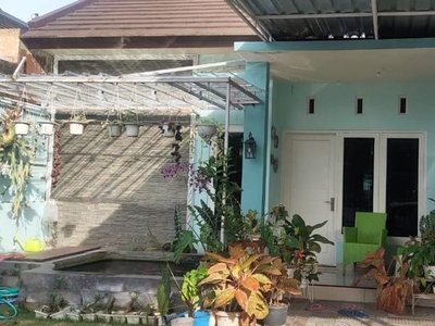 Disewakan Rumah Minimalis Furnish Siap Huni Cocok Untuk Keluarga