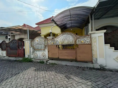 Disewakan rumah Ploso timur