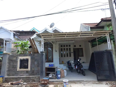 Disewakan Rumah Strategis dan Baru Renovasi - Nusa Hijau