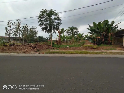 Disewakan Tanah Pinggir Jalan Raya Dekat Kampus UNSUD