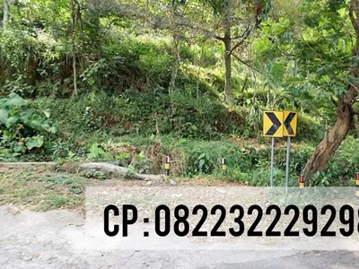 HOT! DIJUAL MURAH TANAH PINGGIR JALAN REMBANGAN JEMBER