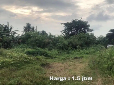 Jual Tanah Di Mekar Jaya Curug - Tangerang, Banten