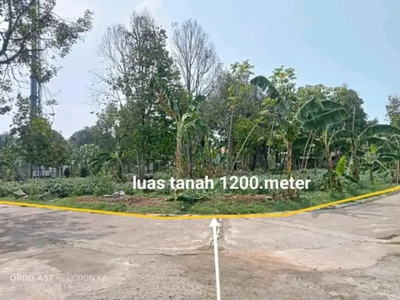 Jual tanah kebun murah luas tanah 1200 mtr Lokasi kemang/Parung Bogor