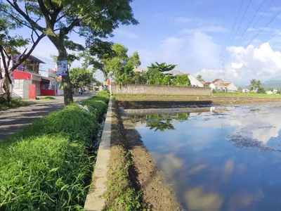 Jual Tanah Sawah Murah Produktif dan Strategis di Cianjur