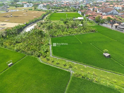 Ricefield & Beautiful Sunset View Land Plot For Lease in Seminyak