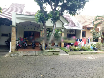 Rumah Mewah di Perum Taman Setiabudi Banyumanik Semarang 1.45 M