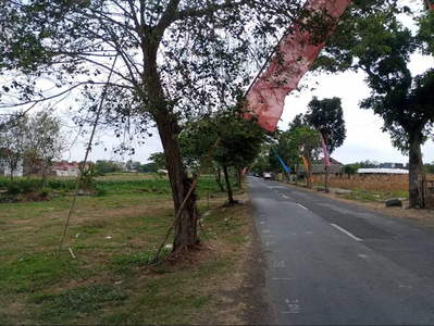 Tanah Murah samping Candi Prambanan Klaten akses truk papasan