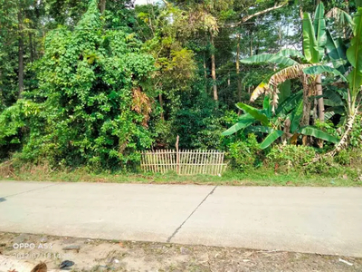 Tanah perkebunan siap bangun, Lokasi di Jalan kampung Bengras, Sukanag