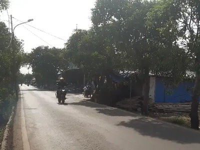 tanah pinggir jalan di rorotan