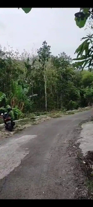 TANAH SAWAH BISA DIKERINGKAN BARAT PADMA RESIDENCE JK1778