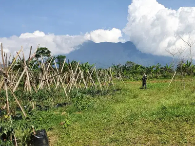 TANAH UNTUK VILLA