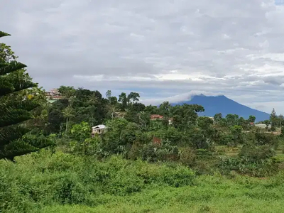 TANAH VIEW GUNUNG GEDE