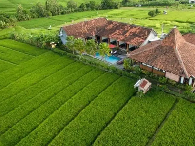 Villa Canggu Bali dijual harga 19 M