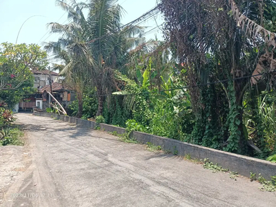 Yellow Zone land in Kesambi Kerobokan Bali