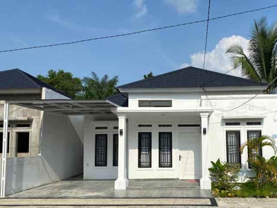 Rumah Minimalis Dp 5 Jt Di Jalan Kapau Sari Pekanbaru