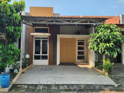 Rumah Bagus Graha Padma Semarang Barat