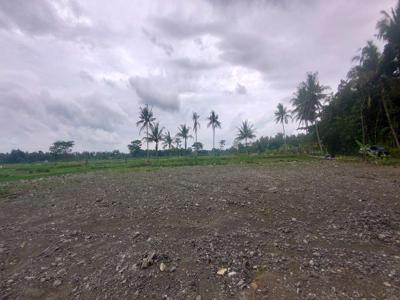 Dekat Bandara YIA, UNTUNG GEDE