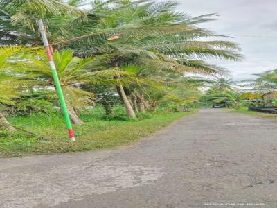 Di jual Tanah SHM sawah bisa bantu proses pengeringan