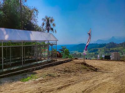 DIJUAL TANAH KEBUN ANGGUR TERMURAH DI BOGOR