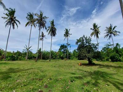 Dijual tanah los sungai view laut lepas saat ini, di Pantai Pasut, Tab