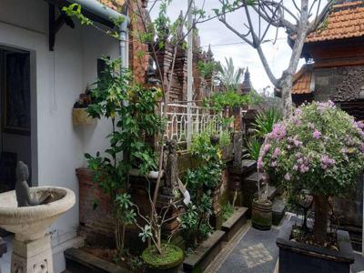 Disewakan Ruang Usaha Plus Rumah 2 Kamar Gaya Bali di Ubud