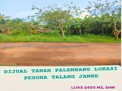 Tanah Dijual Cepatt Lokasi Pesona Talang Jambe