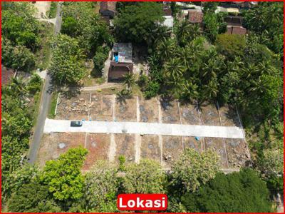 Tanah Dijual dekat Calon Kampus Atma Jaya Kulonprogo: Cicil 12X Tanpa