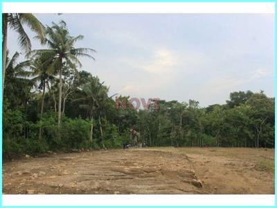 Tanah Kulon Progo Dijual Dekat Rs Pantirapih Baru Wates , SHM