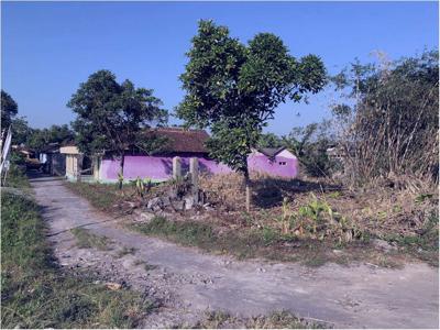 Tanah Murah Dekat Exit Tol, Jual Tanah di Utara Candi Prambanan