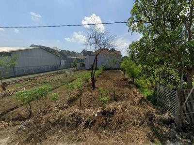 Tanah Siap Bangun Sudah SHM Siap Balik Nama di Pedurungan Semarang