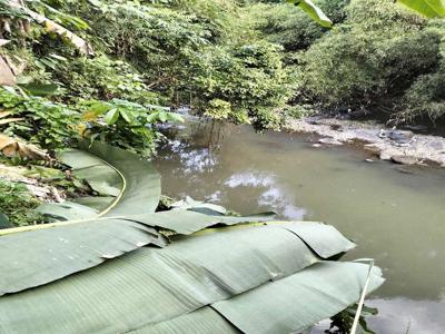 Tanah untuk di sewakan