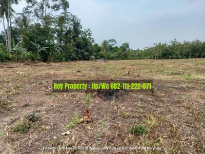 TERMURAH Dijual Tanah di Kalianda Lampung Selatan 4 Ha PINGGIR JALAN