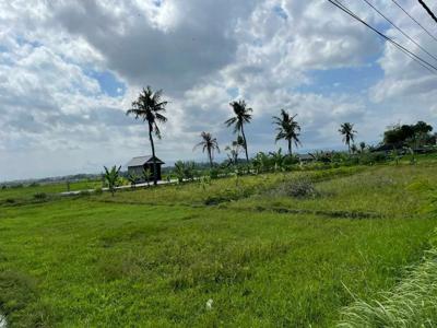 Dijual tanah di Jl Pantai Kelating Bali