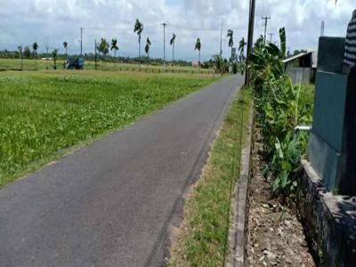 Tanah pantai mengening cemagi