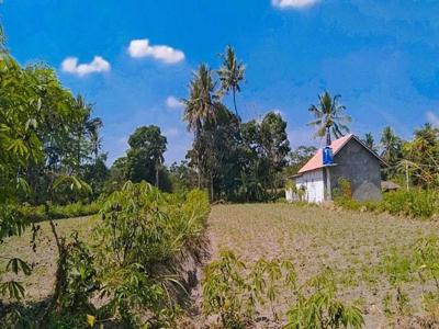 Di Jual Tanah Jogja, Dekat UII Pusat Cocok Untuk Investasi