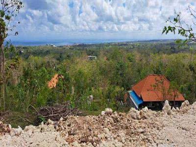 Dijual sebidang tanah ocean view dikawasan pantai dreamland Pecatu Kut