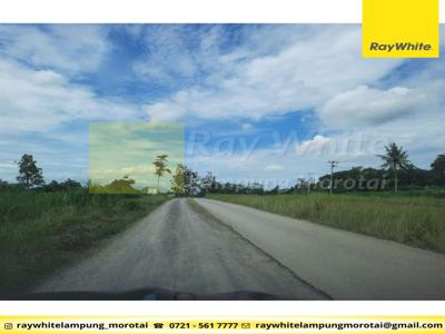 Dijual Tanah di Jalur 2 Itera Jati Agung, Lampung Selatan (Kode Ym757)