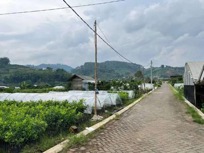 Dijual tanah villa konsep kebun murah malang