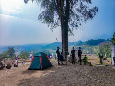 HANYA 7 UNIT!! SERUNYA PANEN ANGGUR DARI KEBUN SENDIRI