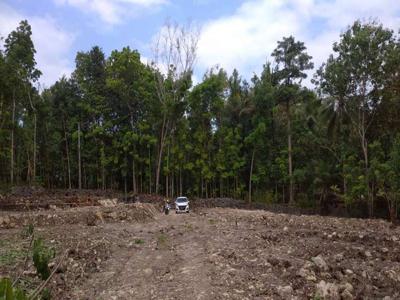 Kawasan Industri Sedayu, Pekarangan SHM, Zona Kuning