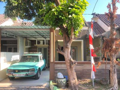 Rumah Siap Huni Lokasi Perumahan Star Safira Bohar Taman Sidoarjo