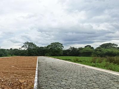 Tanah Dekat UTY Jogja; Investasi Menjanjikan di Lokasi Strategis