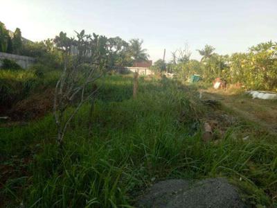 Tanah ISTIMEWA di Jl. Pejaten Barat Raya, Jakarta Selatan