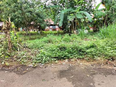 Tanah kebun 1.000 m2 Sudut Jalan Aspal dekat Kampus Polbangtan Gowa