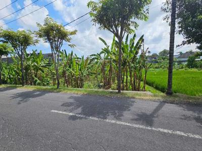 TANAH KOMERSIL JL RAYA UTAMA TUMBAK BAYUH PERERENAN