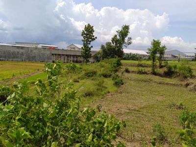Tanah Siap Bangun di Pakulaut, Kabupaten Tegal